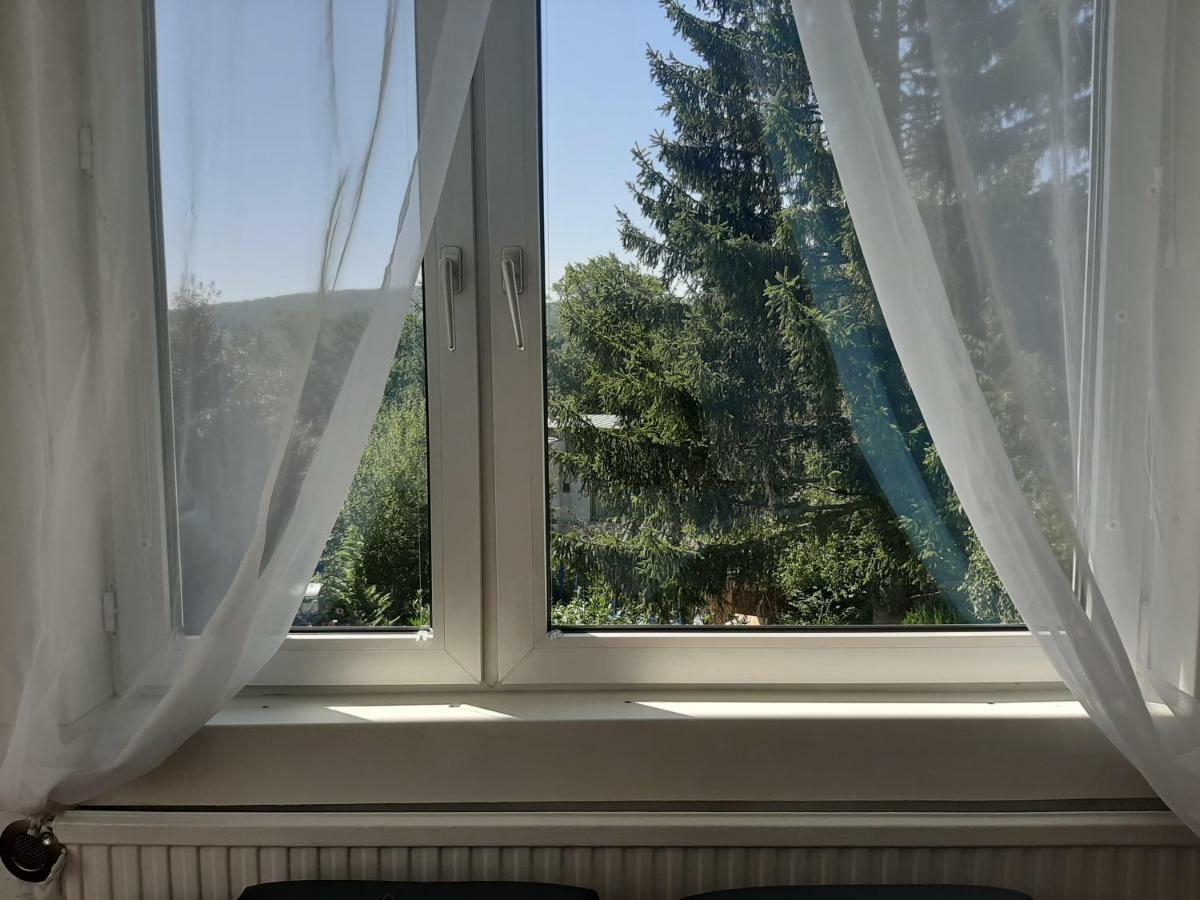 Haus Apricum Apartment *